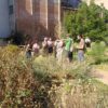 Formació i espai de treball al jardí etnobotànic del Museu Terra!