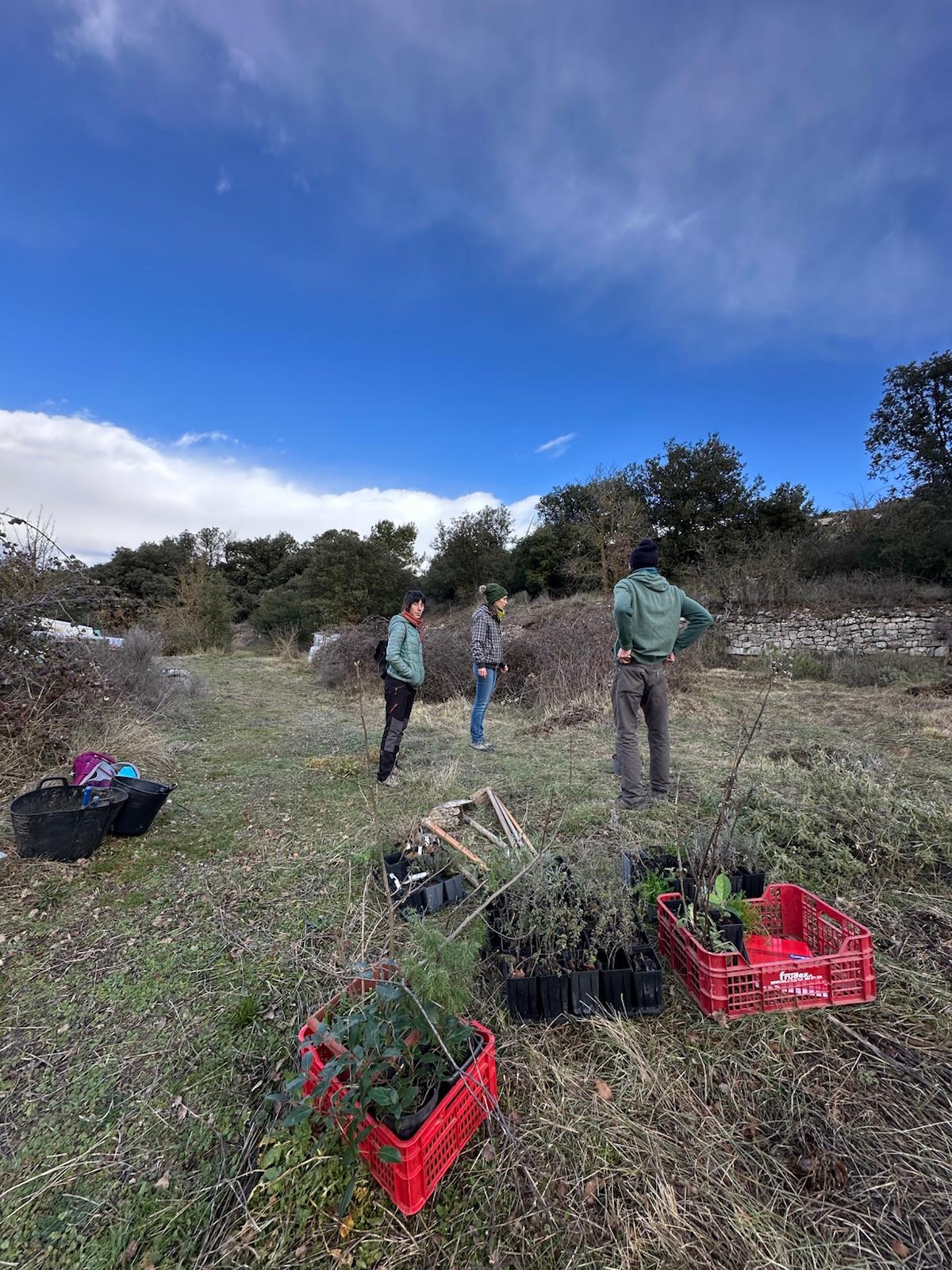 WhatsApp Image 2026-02-16 at 13.41.51