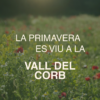 La primavera a la Vall del Corb
