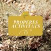 Calendari actualitzat de les activitats