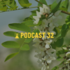 Programa de radio 32: La Robínia